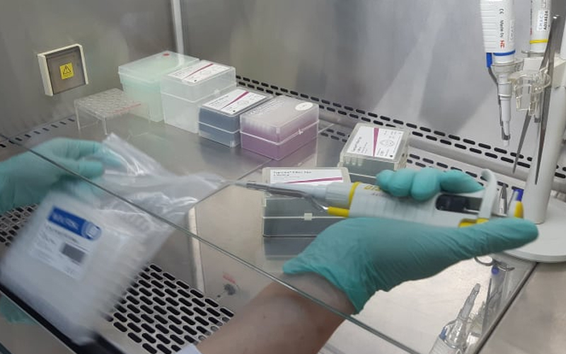 426 de cazuri noi de Covid-19 și 10 decese, înregistrate în ultimele 24 de ore. 12 cazuri sunt în rândul lucrătorilor medicali