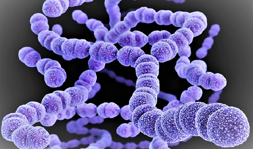 O infecție bacteriană severă, cu o rată de mortalitate de 30%, se extinde rapid în Japonia. Simptomele sunt similare cu cele ale unei răceli