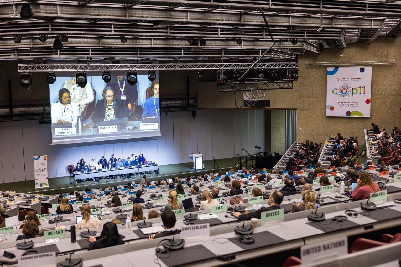 Republica Moldova la COP11: Un deceniu în care țigările nu au devenit mai puțin accesibile