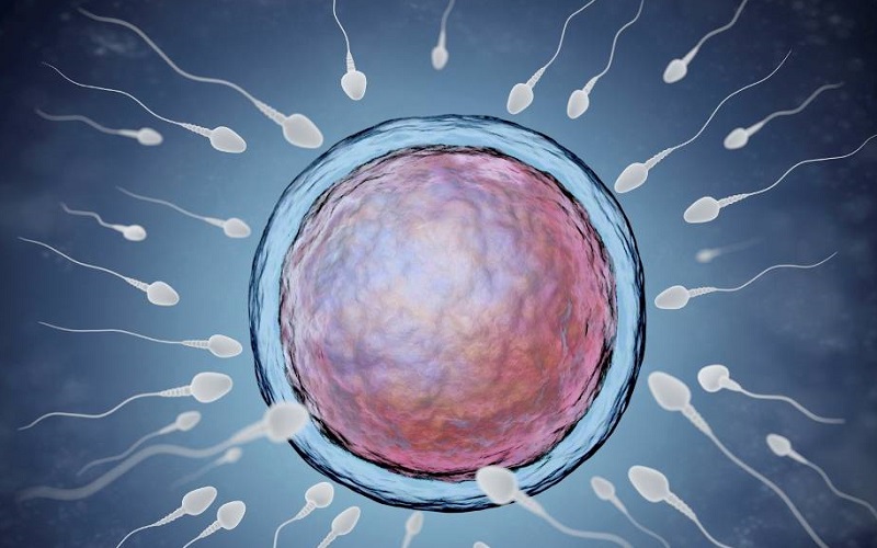 8 milioane de copii s-au născut în ultimii 40 de ani datorită fertilizării in vitro