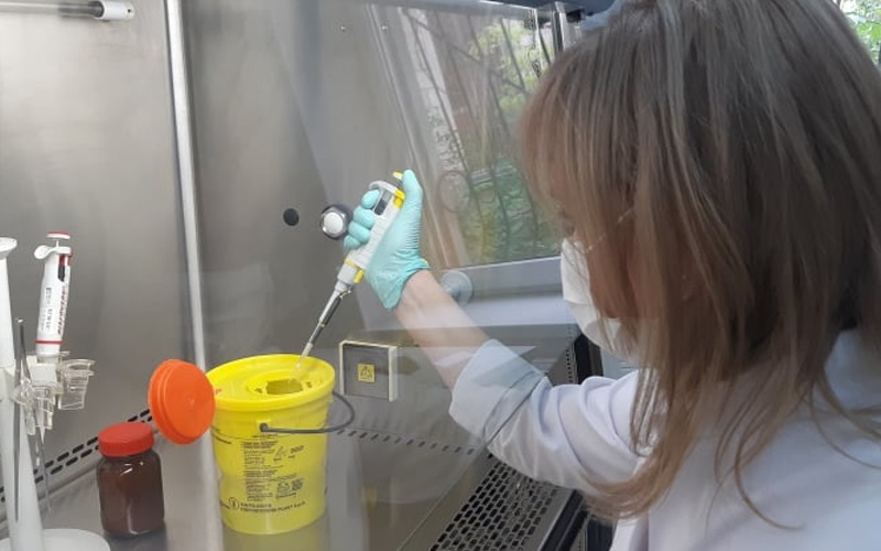 501 cazuri noi de Covid-19 și 13 decese, înregistrate în ultimele 24 de ore