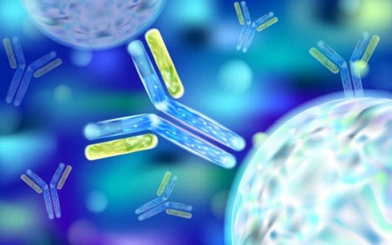 Ingineria anticorpilor umani: Necesitatea de a-i dezvolta pentru combaterea amenințărilor virale