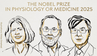 Premiul Nobel pentru Medicină 2025: cum poate fi reprogramat sistemul imunitar pentru a vindeca bolile autoimune și cancerul