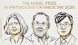 Premiul Nobel pentru Medicină 2025: cum poate fi reprogramat sistemul imunitar pentru a vindeca bolile autoimune și cancerul