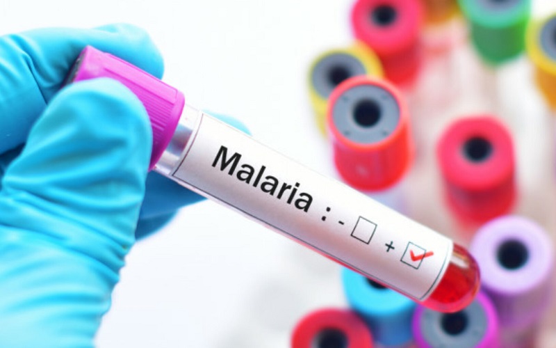 Un moldovean, revenit recent din Africa de Vest, a murit din cauza malariei. Este al doilea caz de deces înregistrat în Moldova în această vară