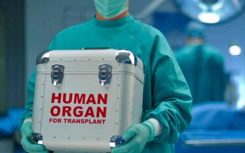 Agenția de Transplant serbează aniversarea a 10 ani de la aprobarea în Moldova a Legii privind transplantul de organe, țesuturi și celule umane
